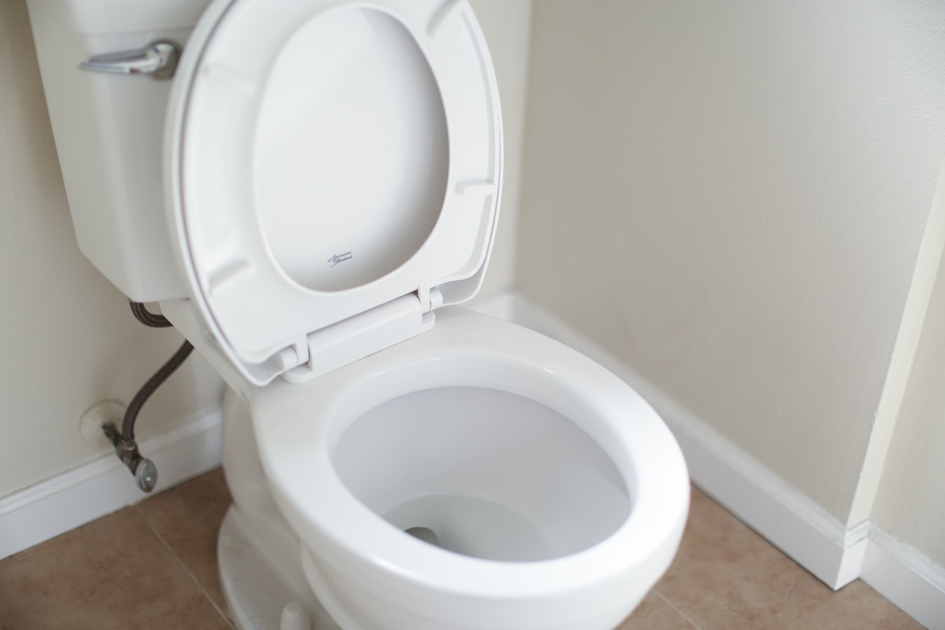 Toilet Bowl Toilet Bowl